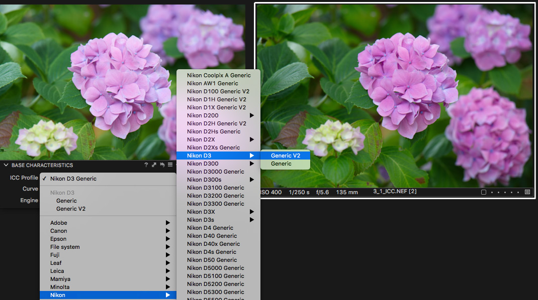 Für gewisse Kameras liefert Capture One sogar zwei oder mehrere Profile für verschiedene Aufnahmesituationen.